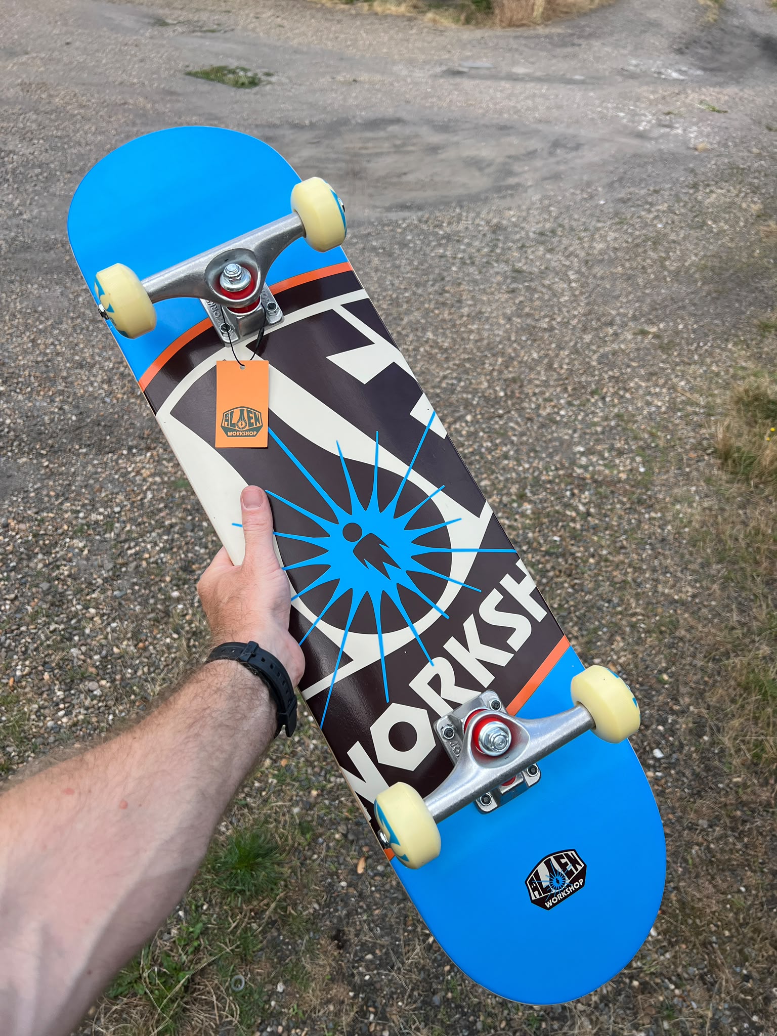 Alien Workshop skateboard blauw