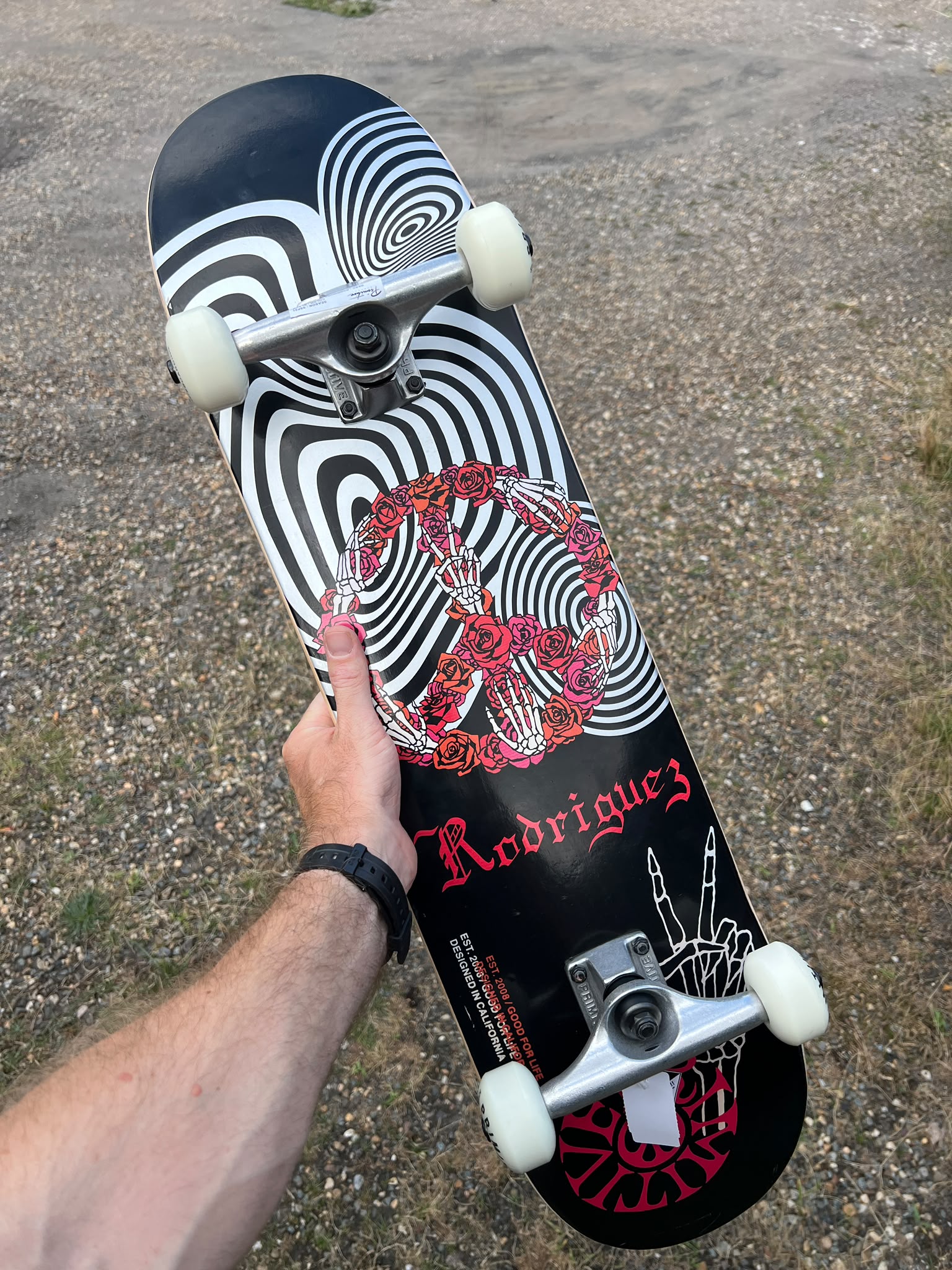Primitive